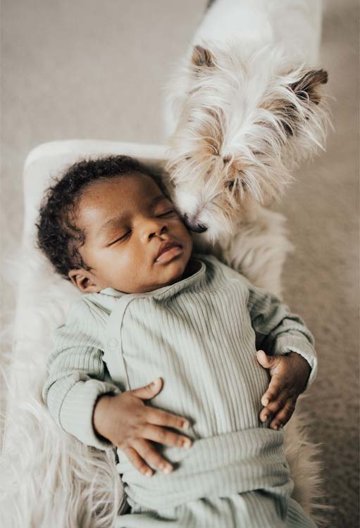 Include Pets in your newborn photos | Pompy Portraits Newborn Photography